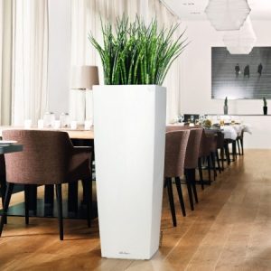 Lechuza Cubico alto Premium - All in One Set - Rosu scarlet 40 cm - imagine 5
