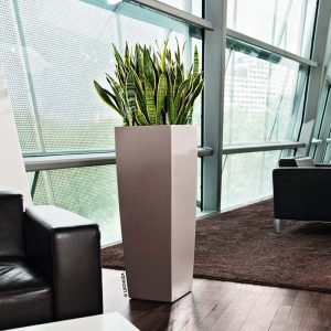 Lechuza Cubico alto Premium - All in One Set - Rosu scarlet 40 cm - imagine 6