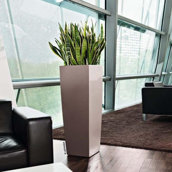 Lechuza Cubico alto Premium - All in One Set - Rosu scarlet 40 cm - imagine 6