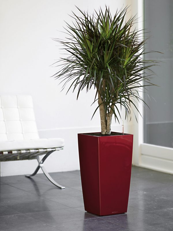 Lechuza Cubico Premium - All in One Set - Antracit 22 cm - imagine 11