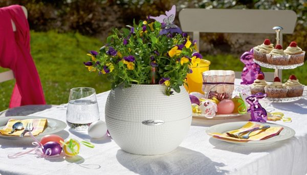 Lechuza Puro Color - All In One - Gri 20 cm - imagine 2