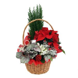 Decor din plante naturale nr.2 - imagine 2