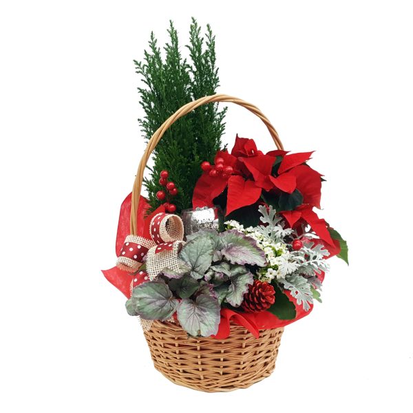 Decor din plante naturale nr.2 - imagine 1