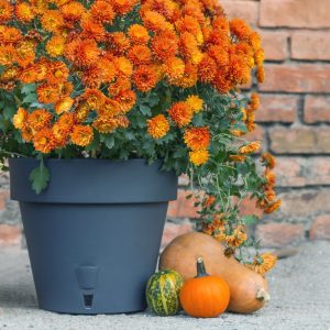 Ghiveci Santino Latina - nisip 3.7 litri (20cm) - imagine 10