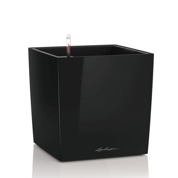 Lechuza Cube Premium - All in One Set - Negru 30 cm