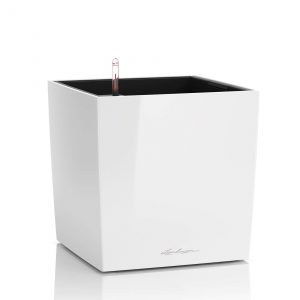 Lechuza Cube Premium - All in One Set - Alb 40 cm