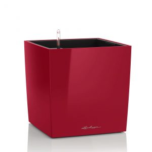 Lechuza Cube Premium - All in One Set - Rosu scarlet 40 cm