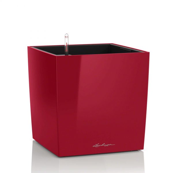 Lechuza Cube Premium - All in One Set - Rosu scarlet 40 cm