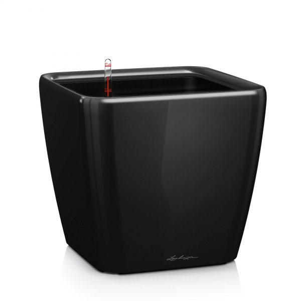 Lechuza Quadro Premium - All In One Set - Negru 28 cm