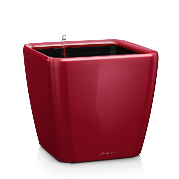 Lechuza Quadro Premium - All In One Set - Alb 35 cm - imagine 22