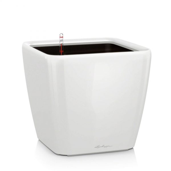 Lechuza Quadro Premium - All In One Set - Alb 35 cm