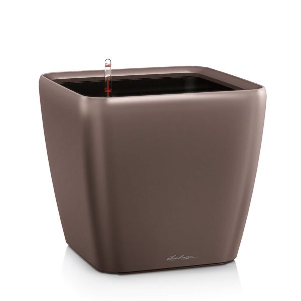 Lechuza Quadro Premium - All In One Set - Alb 35 cm - imagine 20