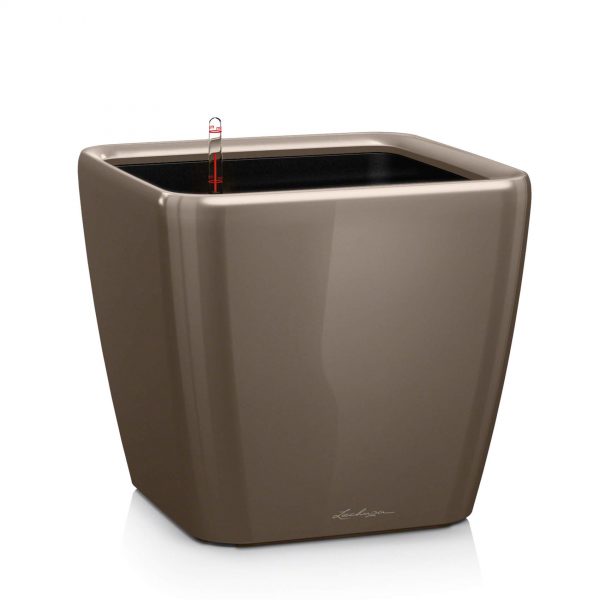 Lechuza Quadro Premium - All In One Set - Taupe 43 cm
