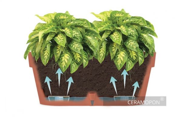 Ghiveci Santino Window Box Latina - teracot 6.7 litri (39.5cm) - imagine 7