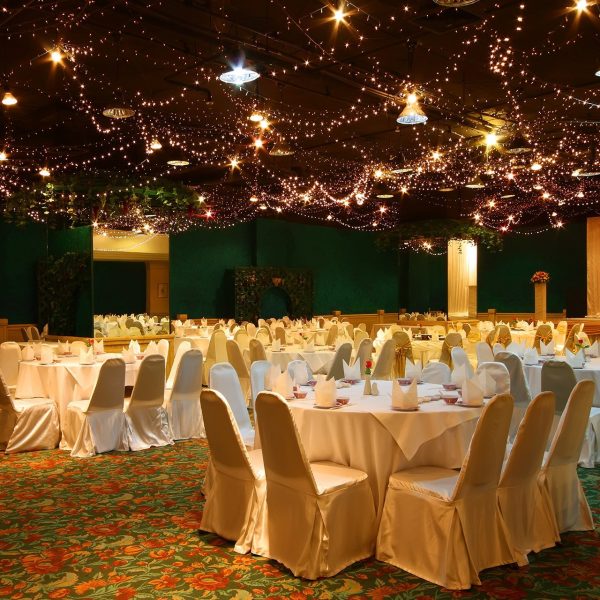 Instalatie 300 leduri lumina calda cupru interior/exterior - imagine 4
