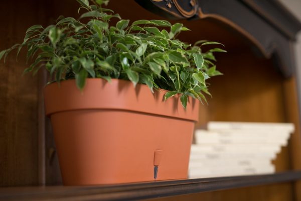 Ghiveci Santino Window Box Latina - teracot 6.7 litri (39.5cm) - imagine 4