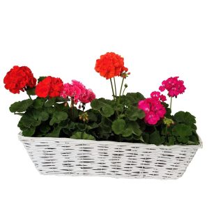 Jardiniera alba cu suport pentru agatat - imagine 4