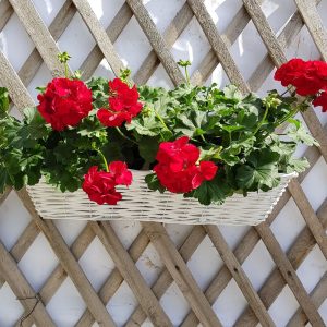 Jardiniera alba cu suport pentru agatat - imagine 3