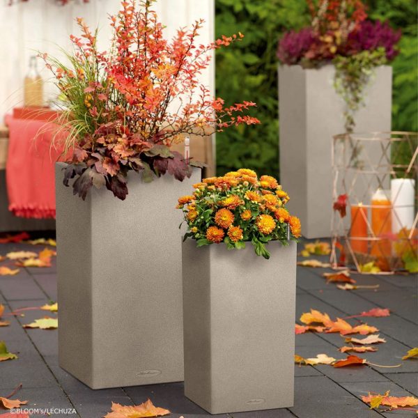 Lechuza Canto Stone Tower- All In One Set -Bej 40 cm - imagine 7