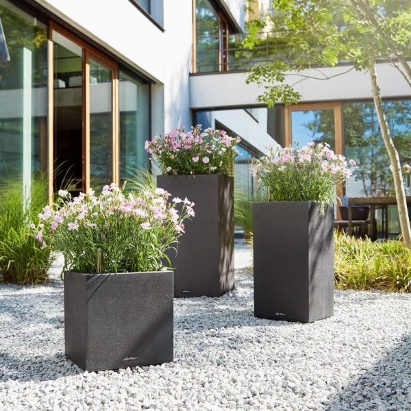 CANTO Stone 30 high graphite black