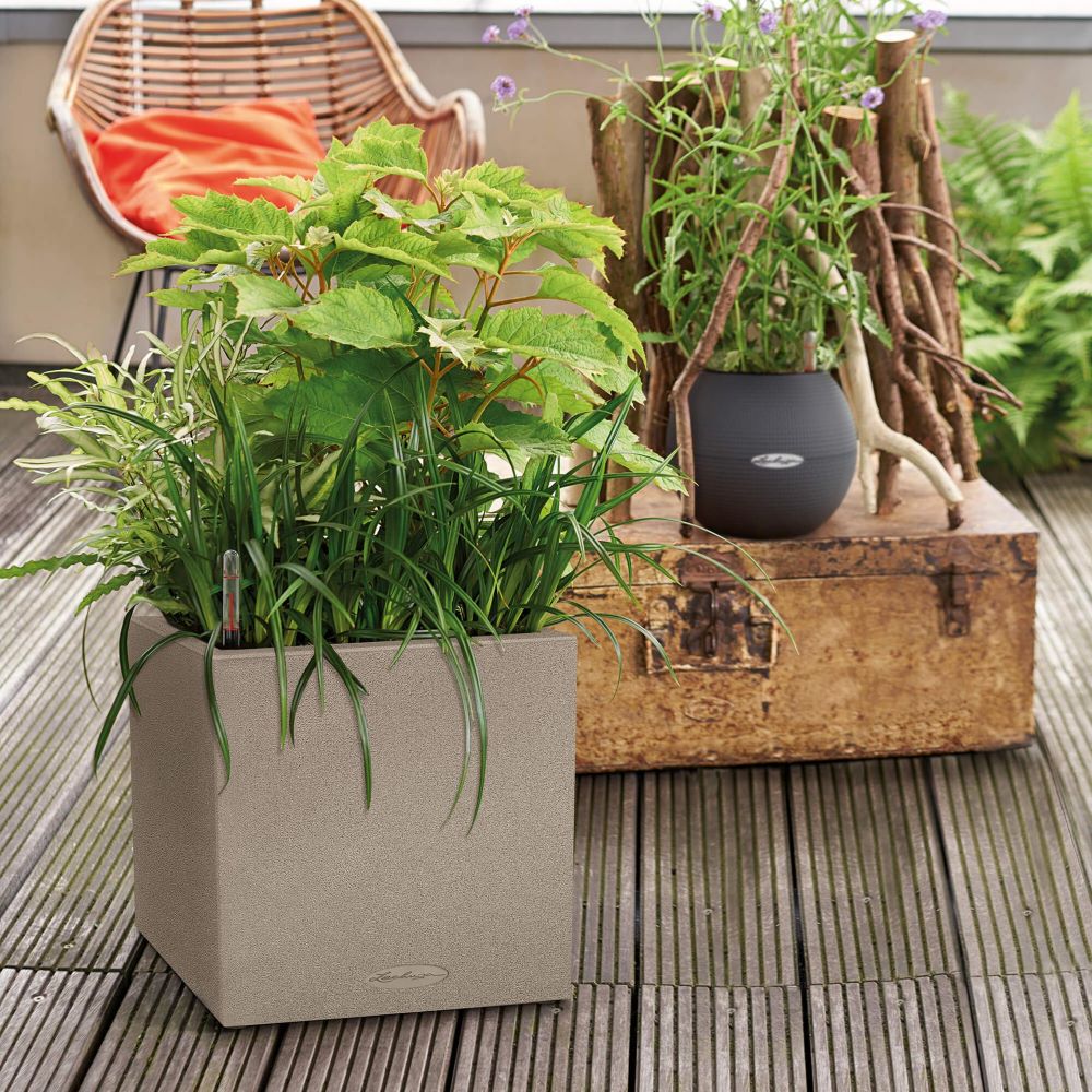 CANTO Stone 30 low sand beige (2) CANTO Stone 30 low sand beige