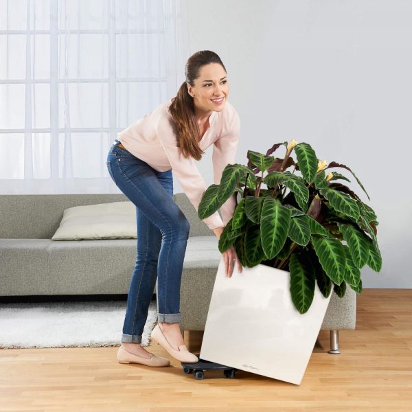 Lechuza Cube Premium - All in One Set White 50 cm - imagine 7