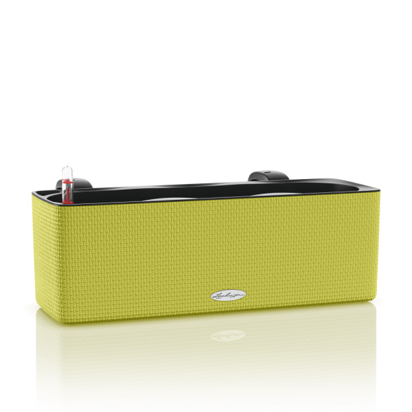 CUBE Color Triple lime green
