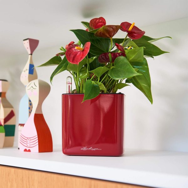CUBE Glossy 14 scarlet red high-gloss (1)