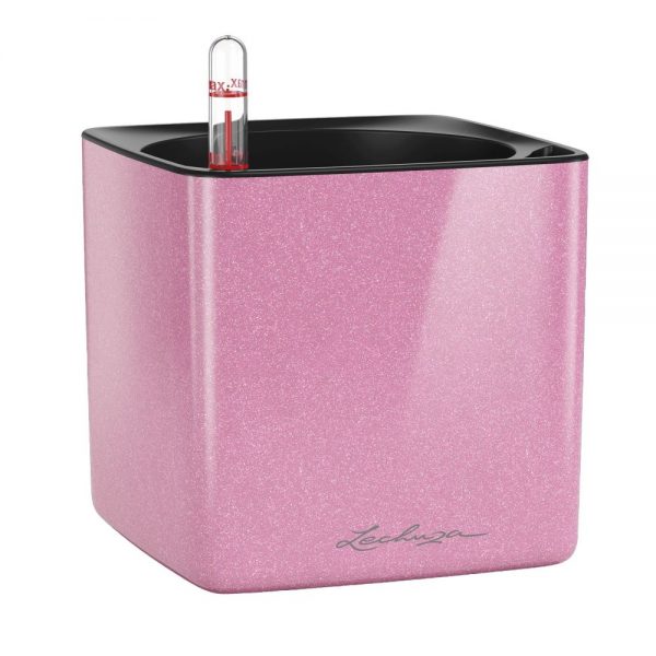 Lechuza Cube Glossy 14cm- All In One Set-Sweet Candy Highgloss