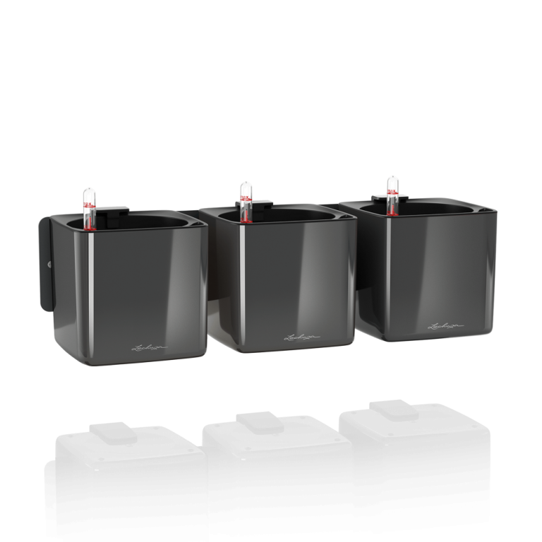 Green Wall Home Kit Glossy charcoal high-gloss