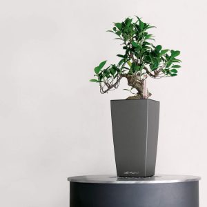 MAXI-CUBI charcoal metallic (1)