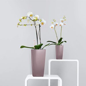 Lechuza Maxi Cubi 14 Premium-All in one White - imagine 7