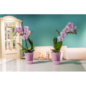 Ghiveci Santino Arte- dea roz  2.0 litri (17 cm) - imagine 2