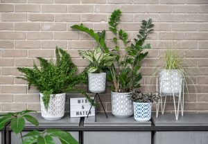 Ghiveci Lamela Aztek - Set planter - Alb cu Roz 25 cm