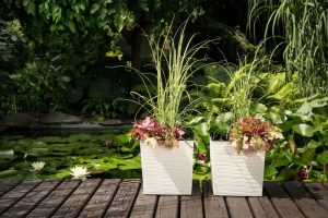 Ghiveci Lamela Juka Dluto - Set planter - Alb 30 cm