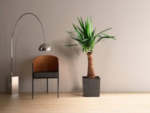 Ghiveci Lamela Juka Dluto - Set planter -Negru