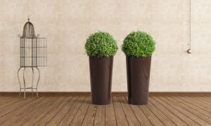 Ghiveci  Lamela Lilia-Set planter- Negru 40 cm - imagine 3