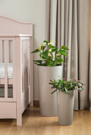 Ghiveci  Lamela Lilia-Set planter- Negru 40 cm - imagine 4