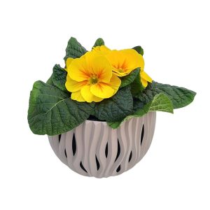 Ghiveci bol Prosperplast Sandy- Mocca