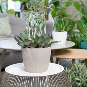 Ghiveci Lamela Magnolia Jumper  -Gri Deschis 14 cm - imagine 3