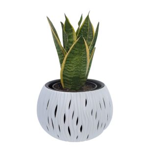 Ghiveci bol Prosperplast Sandy- Alb 29 cm