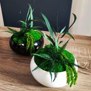 Platou Bombat alb lucios