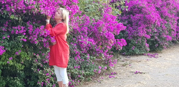 BOUGAINVILLEA – FLOAREA DE HARTIE 2