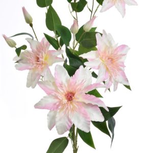 Flori Artificiale Clematis roz 1819 SUN613
