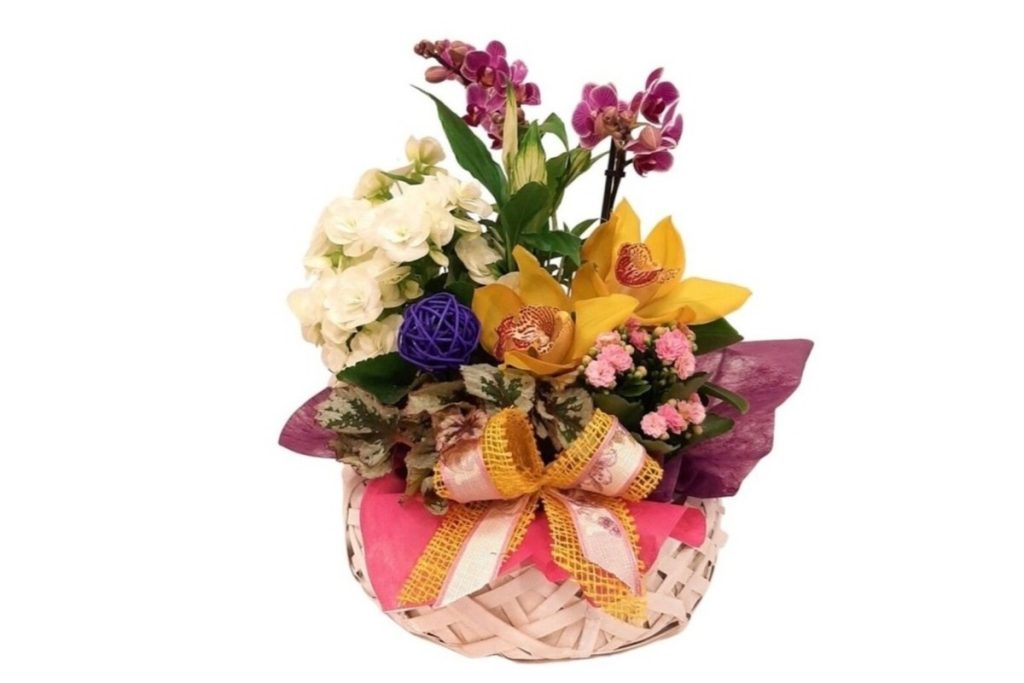 aranjament ce contine Orhidee, Crin de camera, Begonia Eliator, Kalanchoe, Begonia Rex