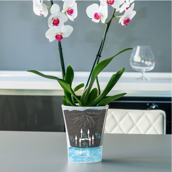 Ghiveci Happy Plants  Arte- Dea Transparent 1.2 litri (14.5 cm) - imagine 2