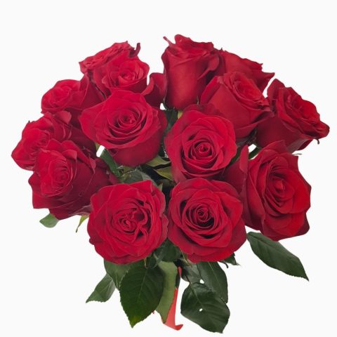 Buchet Trandafiri Rosii 15 fire
