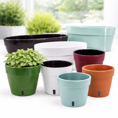 ghivece happy plants category
